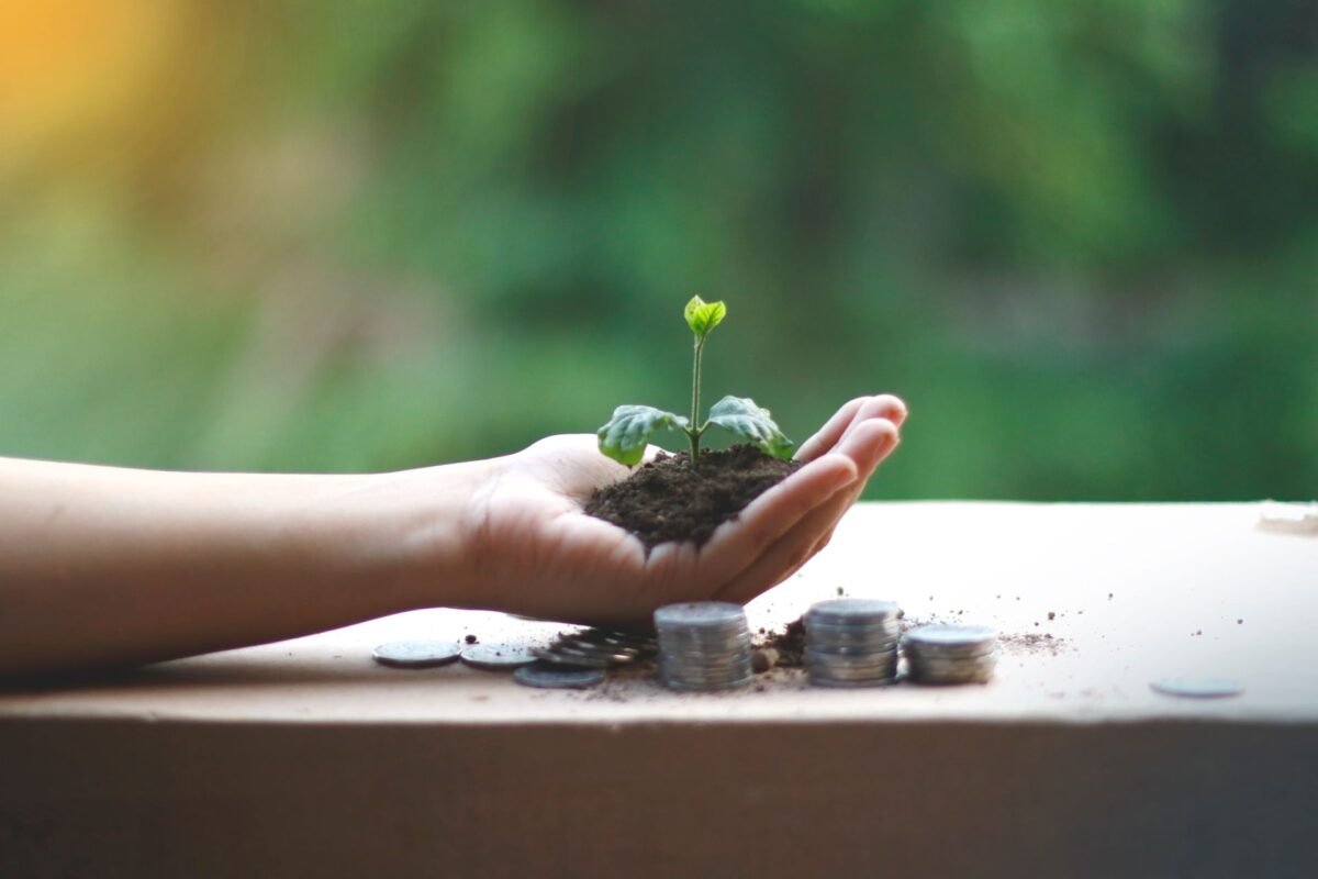 Investment Advisory